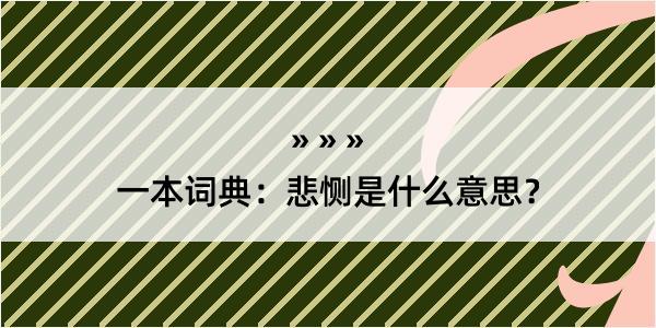 一本词典：悲恻是什么意思？