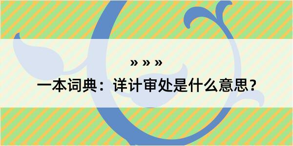 一本词典：详计审处是什么意思？