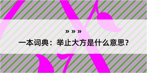 一本词典：举止大方是什么意思？