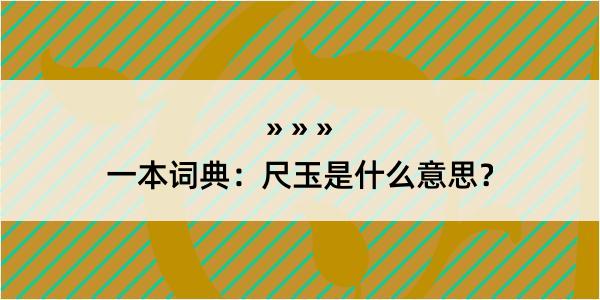 一本词典：尺玉是什么意思？