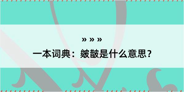 一本词典：皴皵是什么意思？