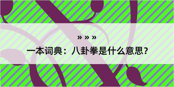 一本词典：八卦拳是什么意思？