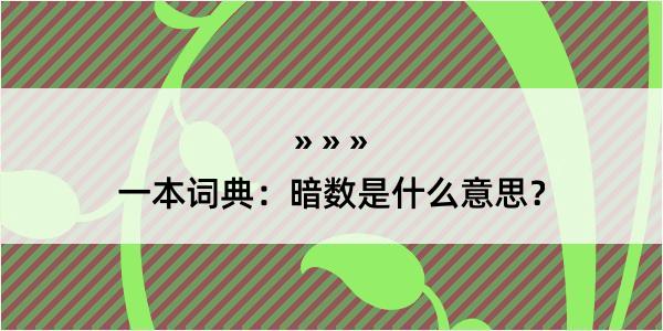 一本词典：暗数是什么意思？