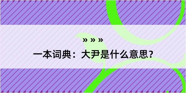 一本词典：大尹是什么意思？