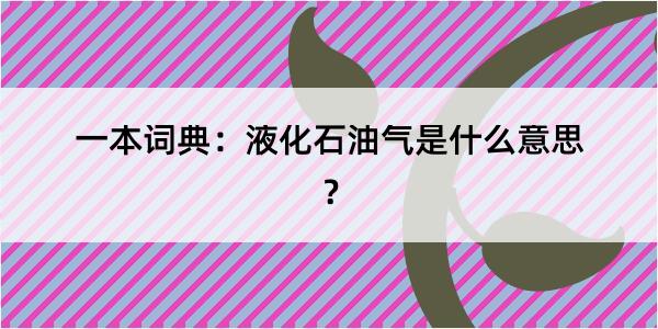 一本词典：液化石油气是什么意思？