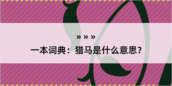 一本词典：猎马是什么意思？