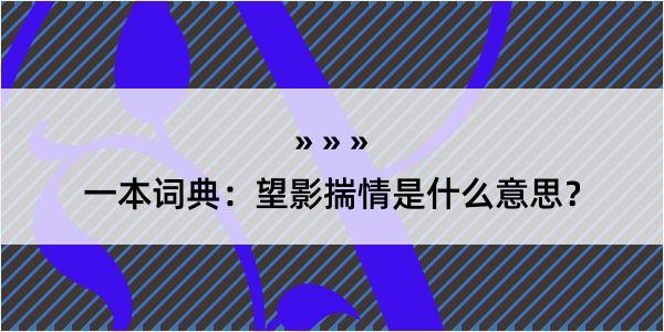 一本词典：望影揣情是什么意思？