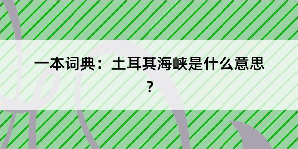 一本词典：土耳其海峡是什么意思？