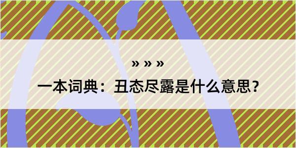 一本词典：丑态尽露是什么意思？