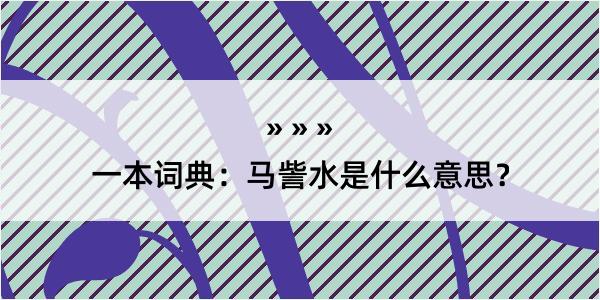 一本词典：马訾水是什么意思？