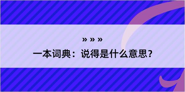 一本词典：说得是什么意思？