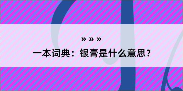 一本词典：银膏是什么意思？