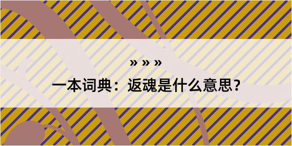 一本词典：返魂是什么意思？