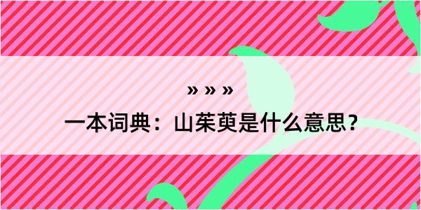 一本词典：山茱萸是什么意思？