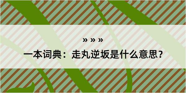 一本词典：走丸逆坂是什么意思？