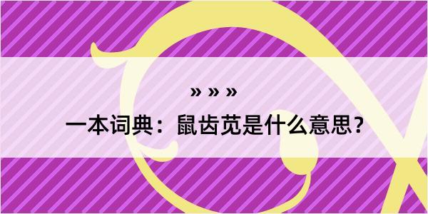 一本词典：鼠齿苋是什么意思？