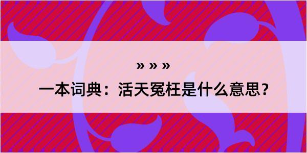 一本词典：活天冤枉是什么意思？