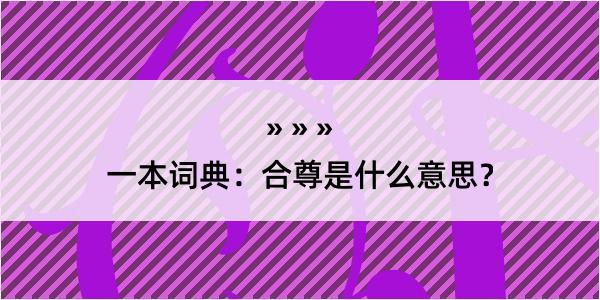 一本词典：合尊是什么意思？