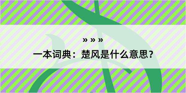 一本词典：楚风是什么意思？