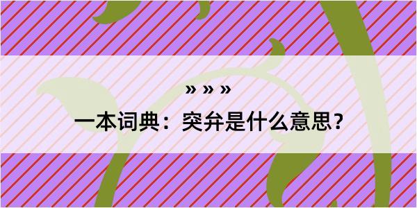 一本词典：突弁是什么意思？