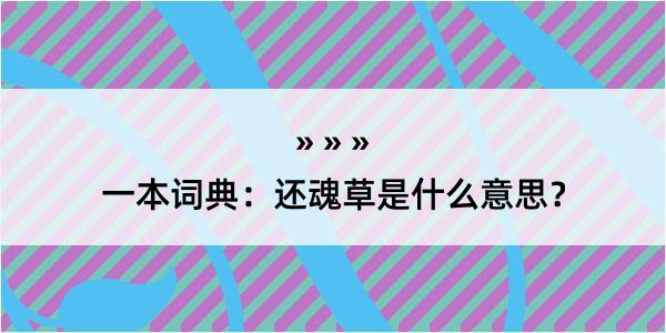 一本词典：还魂草是什么意思？