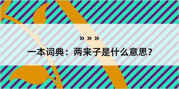 一本词典：两来子是什么意思？