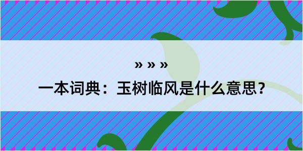 一本词典：玉树临风是什么意思？