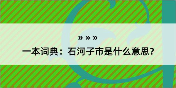 一本词典：石河子市是什么意思？