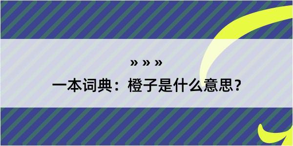 一本词典：橙子是什么意思？