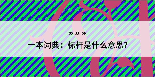 一本词典：标杆是什么意思？