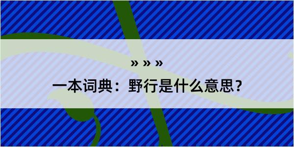 一本词典：野行是什么意思？