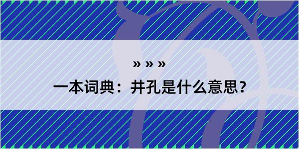 一本词典：井孔是什么意思？