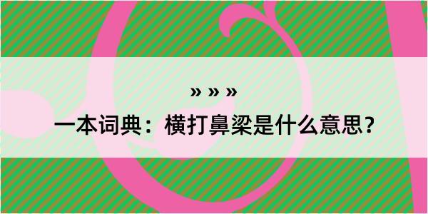 一本词典：横打鼻梁是什么意思？