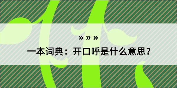 一本词典：开口呼是什么意思？