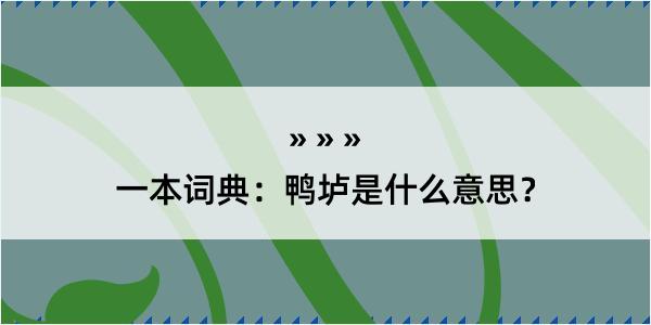 一本词典：鸭垆是什么意思？