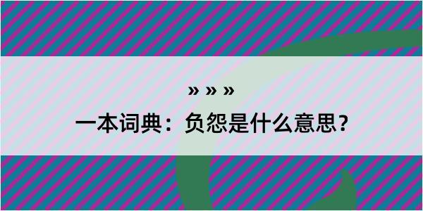 一本词典：负怨是什么意思？