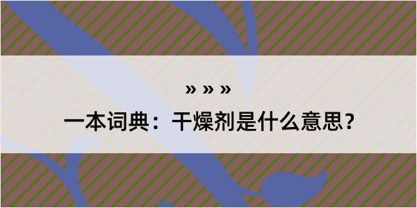 一本词典：干燥剂是什么意思？