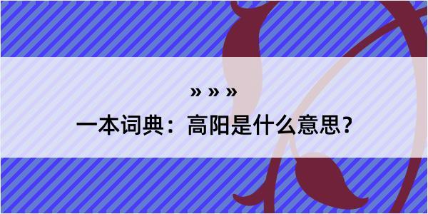 一本词典：高阳是什么意思？