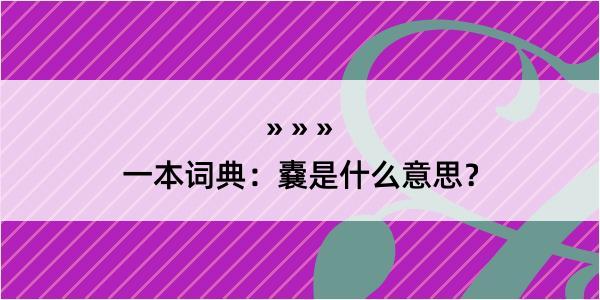 一本词典：嚢是什么意思？