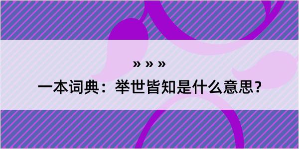 一本词典：举世皆知是什么意思？