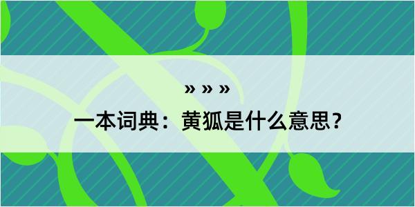 一本词典：黄狐是什么意思？