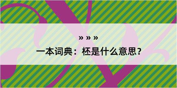 一本词典：柸是什么意思？