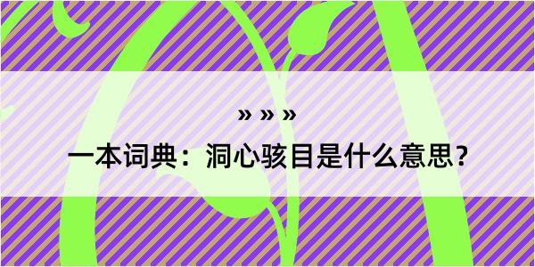 一本词典：洞心骇目是什么意思？