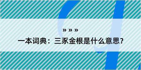 一本词典：三豕金根是什么意思？