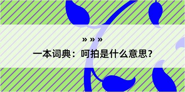 一本词典：呵拍是什么意思？