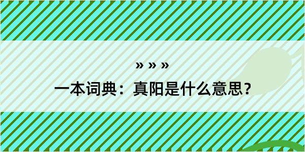 一本词典：真阳是什么意思？