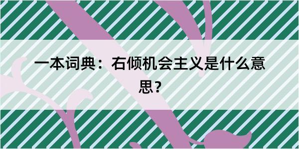 一本词典：右倾机会主义是什么意思？