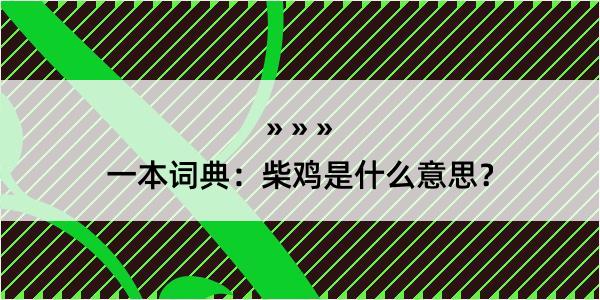 一本词典：柴鸡是什么意思？