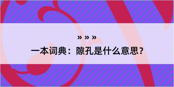 一本词典：隙孔是什么意思？