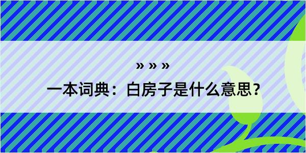 一本词典：白房子是什么意思？